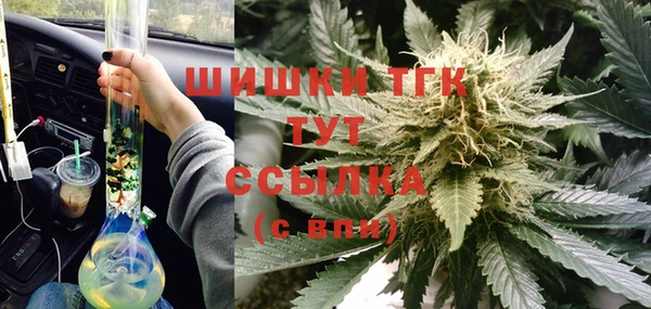 дурь Касимов