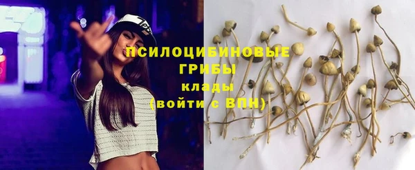 2c-b Карталы