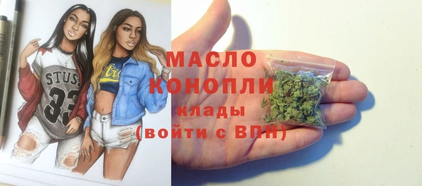 гидра Каменка