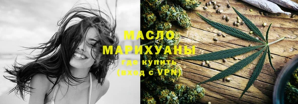 гидра Каменка