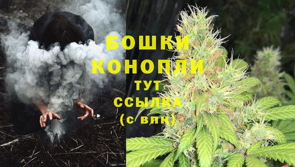 дурь Касимов