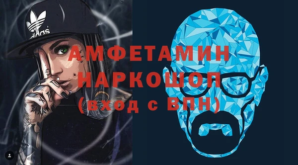 гидра Каменка