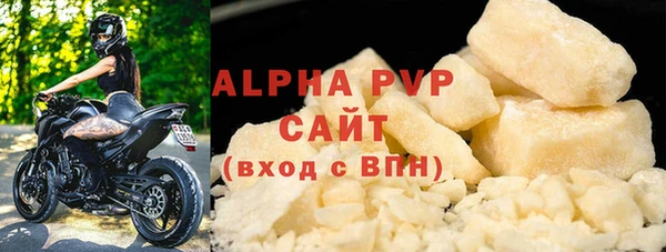 гидра Каменка