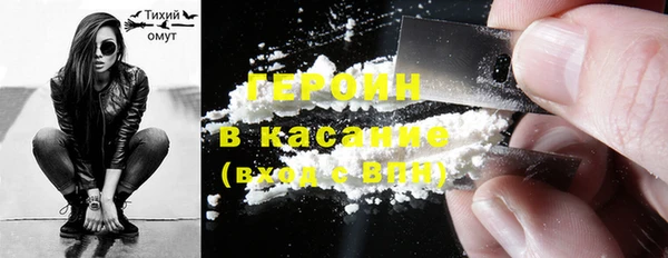 гидра Каменка