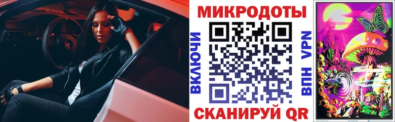 Галлюциногенные грибы мицелий  купить  сайты  Кингисепп 